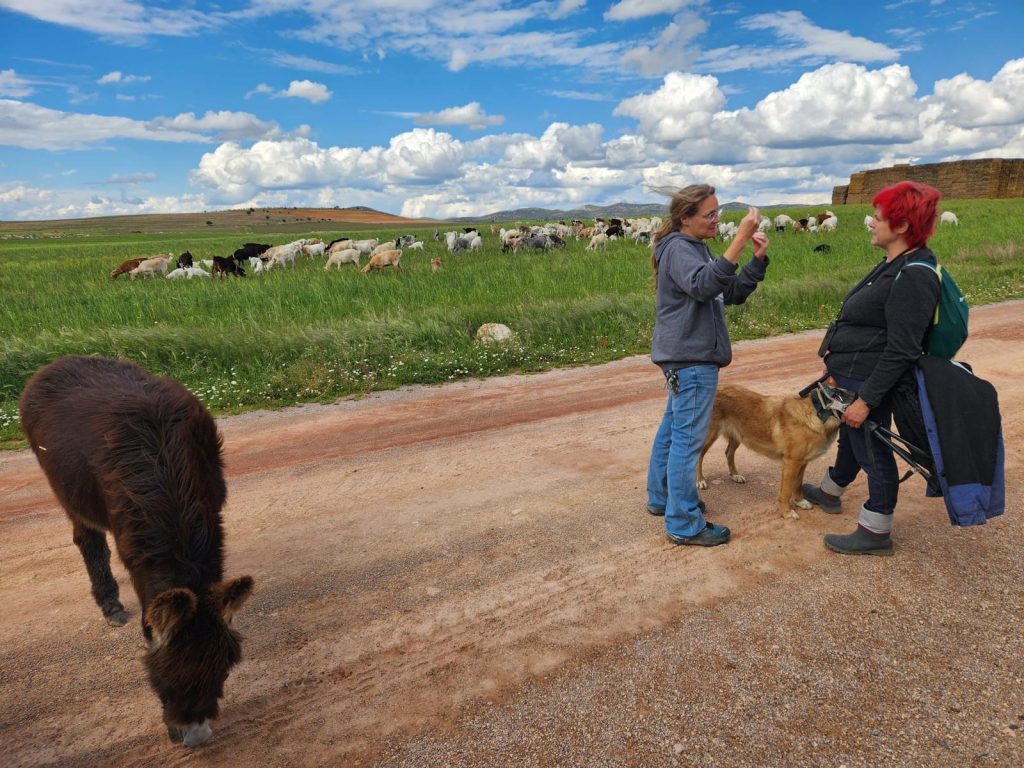 ACOBIJA and Entrecabritos discussing goat grazing during the conservation grazing partner visit
